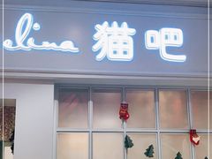 门面-安格丽娜·狗咖·猫咖羊驼咖(春熙路百盛商场店)