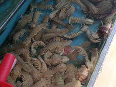 -超越海鲜屋(飞龙物业店)
