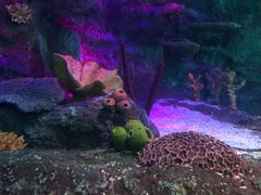 -沈阳海洋探索中心