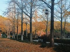 -泰州凤城河风景区-泰山公园