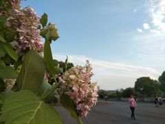 -江南大学(蠡湖校区)