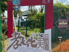-菊园百果园