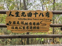 -天目湖山水园