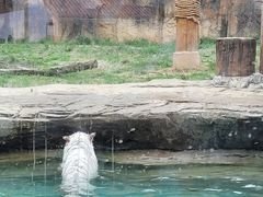 -杭州野生动物世界