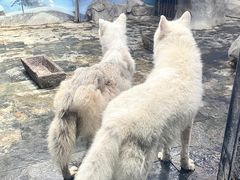 -梦幻海洋王国(吾悦广场张家港店)