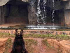 -海南热带野生动植物园