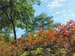 -广州市帽峰山景区
