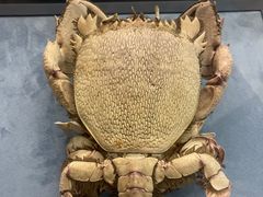 -浙江自然博物院(杭州馆)