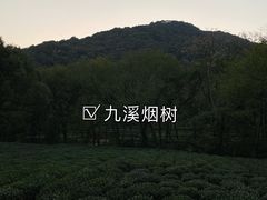 -龙井村
