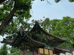 -太原动物园