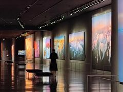 -罗红摄影艺术馆