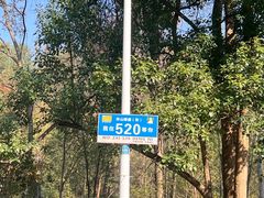 -青龙山国家森林公园