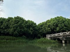 -动邦皮划艇·桨板·独木舟·团建户外运动俱乐部