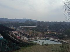 -都江堰玫瑰花溪谷