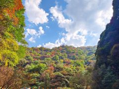 -少华山国家森林公园
