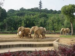 -杭州野生动物世界