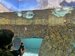 -成都浩海立方海洋公园