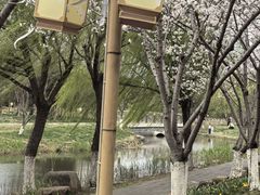 -长田漾湿地公园