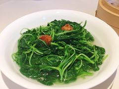 上汤蒜子泡苋菜-利苑酒家(华熙国际店)