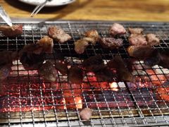 -柿子树炭烤羊腿(金台路店)