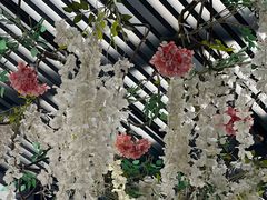 -台山颐和温泉城