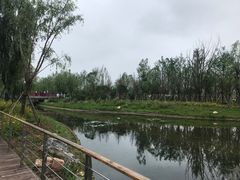 -东平国家森林公园