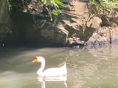 -兰亭风景区