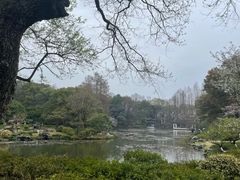 -杭州植物园