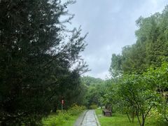 -东升八家郊野公园