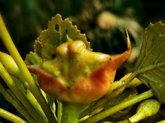 -白鹭湾湿地公园