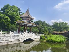 -顺峰山公园