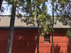 -洛阳白马寺