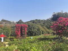 -东莞植物园