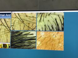 -雍禾植发全国连锁