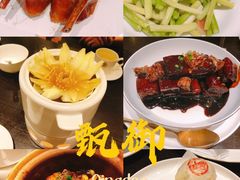 -甄御•海鲜新青岛菜(麦岛店)