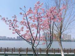 -艾溪湖湿地公园