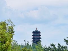 -习家池