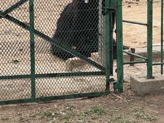 -秦皇岛野生动物园