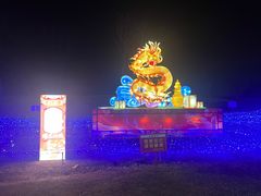 -金沙湖旅游度假区