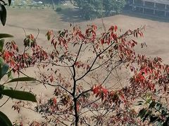 -火炉山森林公园