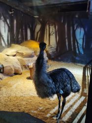 -酷嗒动物文化乐园(cutezoo西溪乐天城店)