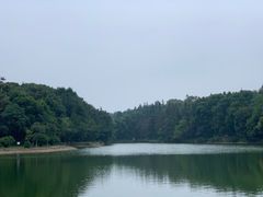 -象山森林公园
