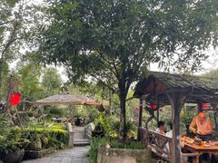 -青城甲(青城山店)