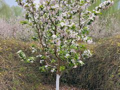 -元大都城垣遗址公园