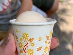 -古北烤梨