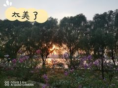 -武昌江滩