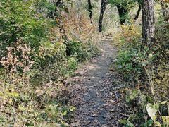 -玉渡山自然风景区