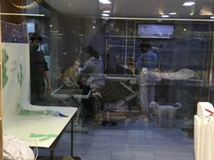 -悠尼宠物·独立低压伊珊娜洗护·美容·寄养(兰谷路店)
