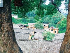 -杨家堂村