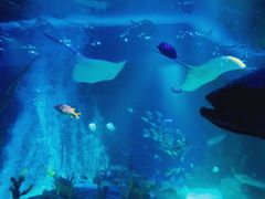 -沈阳海洋探索中心